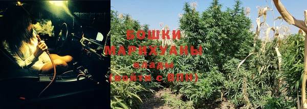 бошки Верхний Тагил