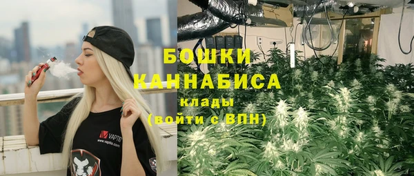 дмт Верея