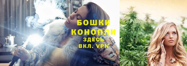 стаф Волоколамск