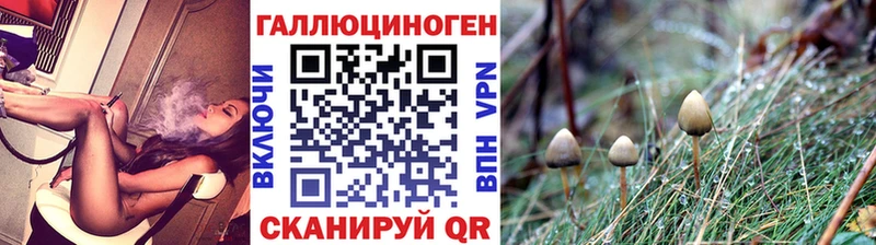 мега сайт  где купить   Верея  Псилоцибиновые грибы прущие грибы 