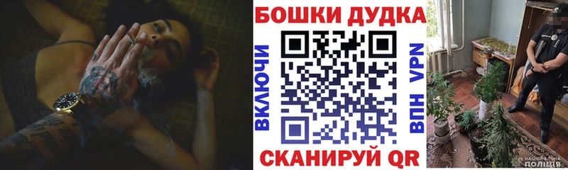 кракен зеркало  Верея  Бошки Шишки семена 
